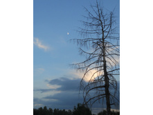 DSCN6262.JPG
