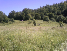 P02-07-11_12.02.jpg