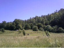 P02-07-11_12.02[1].jpg