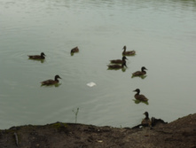 P1040001.JPG