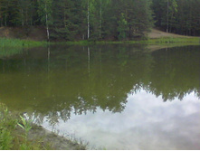 100_0050.JPG