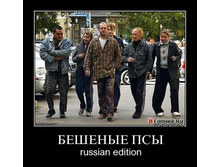 1300189254_015.jpg