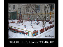 1300189325_020.jpg