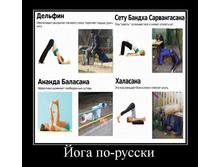 1300189331_075.jpg