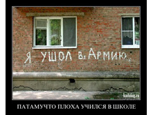 1309854Y.jpg