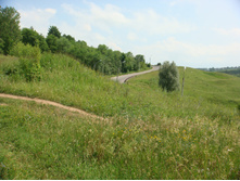 DSC03739.JPG