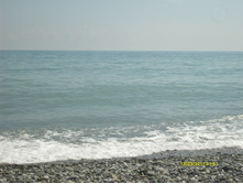 S6300402.JPG