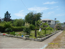 S6300471.JPG