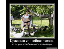1280840389_krasivaya-spokojnaya-zhizn.jpg