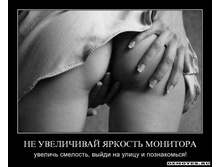 1282593404_r7ztkir2hp8w.jpg