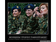 1282896902_aq49b8oya1ex.jpg