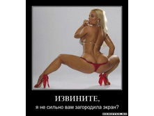 1285049739_l6rqkh8aazxh.jpg