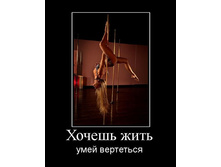 1288595052_hochesh-zhit.jpg
