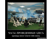 1293459582_1nw7n0sdks5ll.jpeg