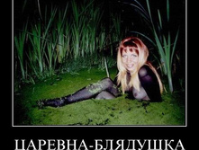 1294865905_71ro2adysh0a.jpg