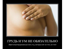 1294866858_v9ok1nnijhqk.jpg