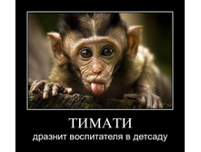1298668399_bibquzhhntns.jpg