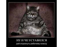 1298668631_077tf3kwgj3o.jpg