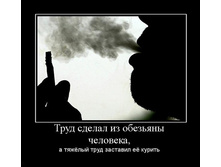 1298748360_trud-sdelal-iz-obezyanyi-cheloveka.jpg