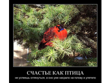 1298748746_9vspgk1q99vg.jpg