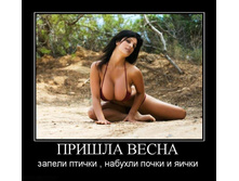 1299079905_prishla-vesna.jpg