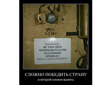1299080753_761ez8kjcx2t.jpg