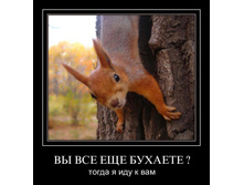 1299439584_lmdlw9xpas31.jpg