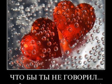1300051136_k3l5zbh33glw.jpg