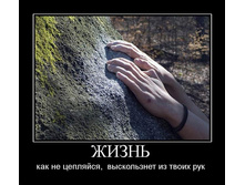 1302159785_zhizn.jpg