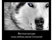 1302163583_vfrxq9fj9k2v.jpg