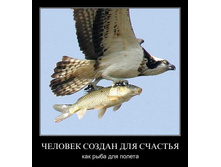 1302164333_zha2fstb16ma.jpg