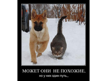 1302708847_h7m0i4eyezbl.jpg