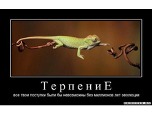 1302726108_1t-e-r-p-e-n-i-e.jpeg