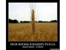 1302727108_1x511jjx15xsl.jpeg