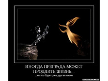 1302727114_1inogda-pregrada-mozhet-prodlit-zhizn.jpeg