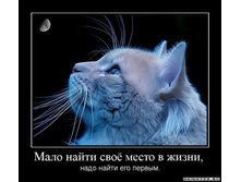 1302727140_1malo-najti-svoyo-mesto-v-zhizni-.jpeg