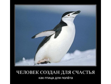 1303497010_khis949pmpk9.jpg