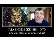 1303497280_i6fqpp44snta.jpg