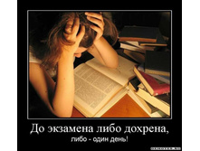 1305441660_1do-ekzamena-libo-dohrena.jpeg