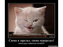 1305441687_1skoka-ya-zarezal-skoka-pererezal.jpeg