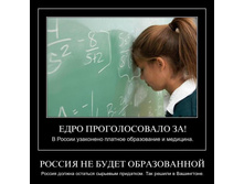 1306068156_cd6qraseb3ev.jpg