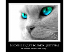 1306528866_a16ls0dzz7no.jpg