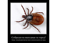1306694460_fz3d98vob8gu.jpg