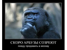 1306956479_h37gob1rb0xd.jpg