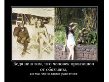 1307862901_beda-ne-v-tom-chto-chelovek-proizoshel-ot-obezyanyi.jpg