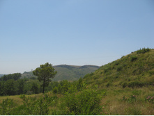 IMG_6559.JPG