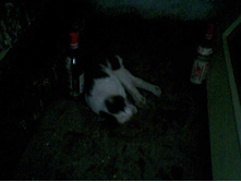 SP_A0885.jpg