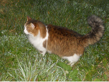DSCN6923.JPG