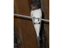 DSCN6954.JPG