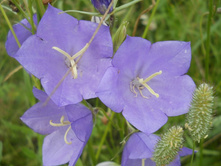 DSCN7127.JPG